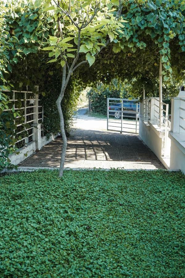 Villa Nektarios Garenias Kipoupoli Nea Kallikrateia Exterior foto
